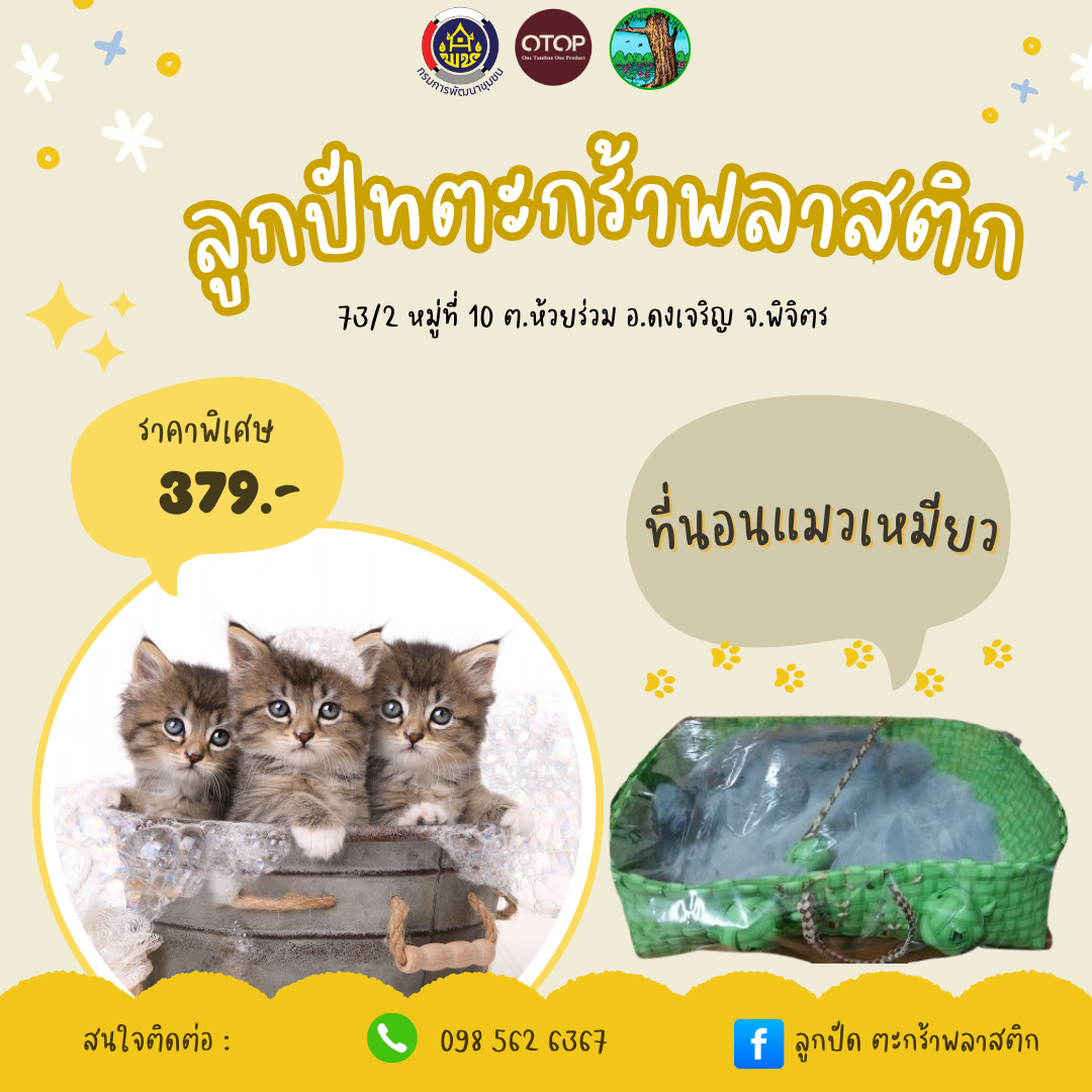 ที่นอนน้องเหมียว